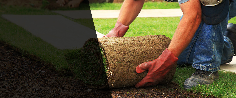 Holly Ridge Landscapers